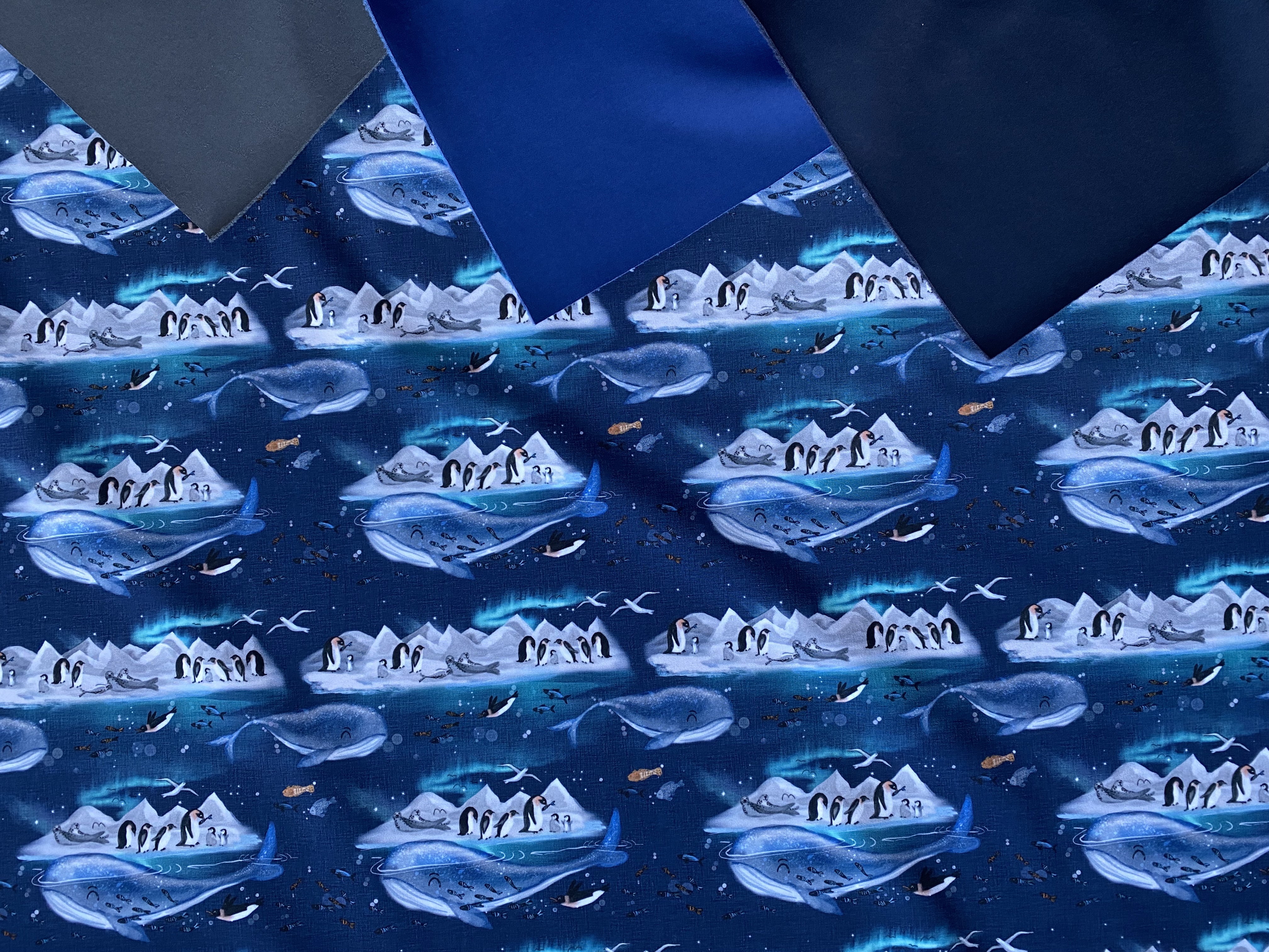 Antarktida zimní softshell 