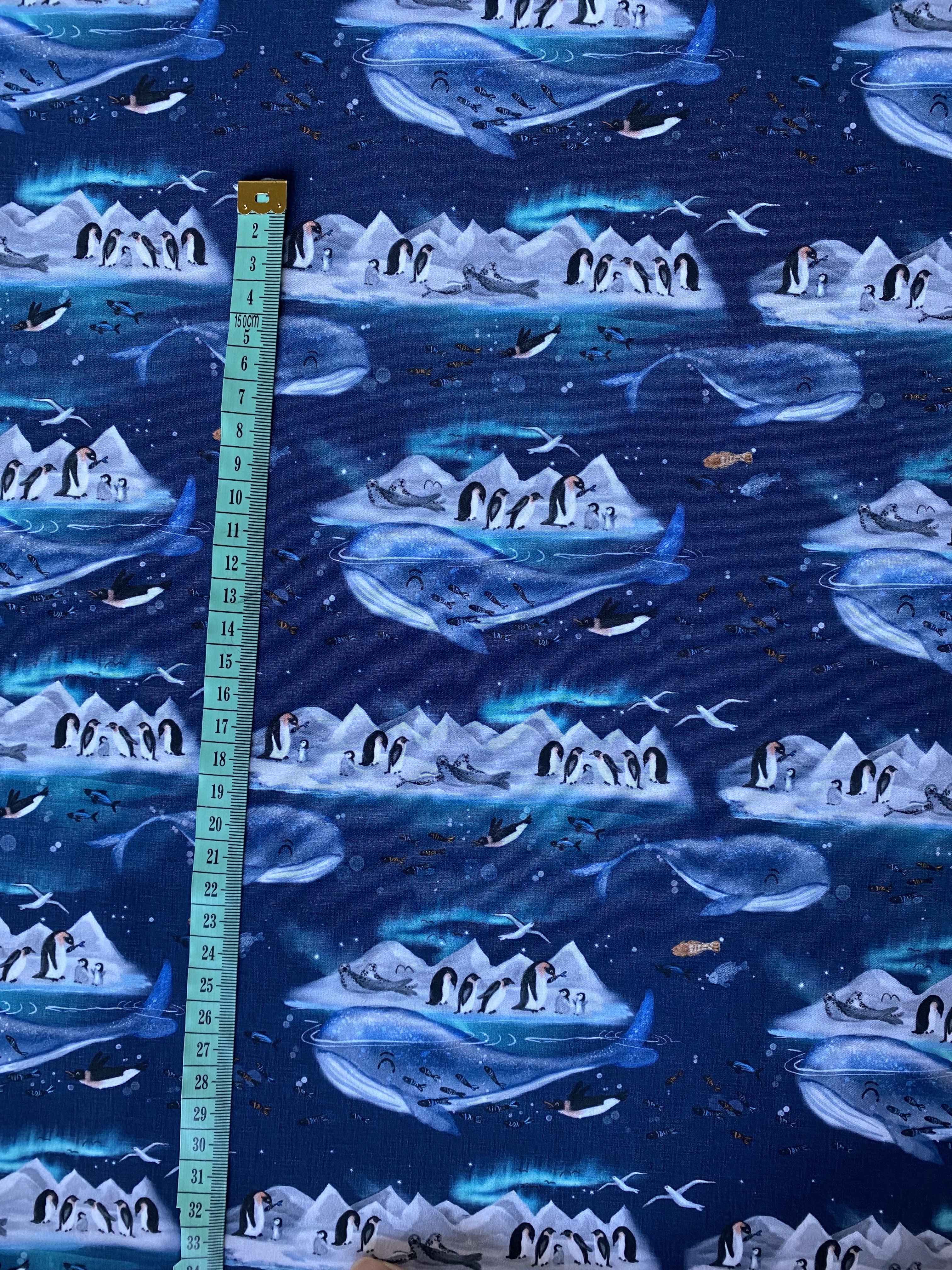 Antarktida zimní softshell 