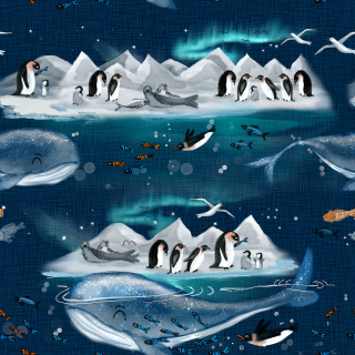 Antarktida zimní softshell 